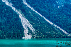 2022-08-07-Plansee-18