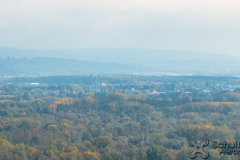 2022-10-12-FR-Rhinau-5