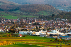 2022-11-24-Holzmaden-2
